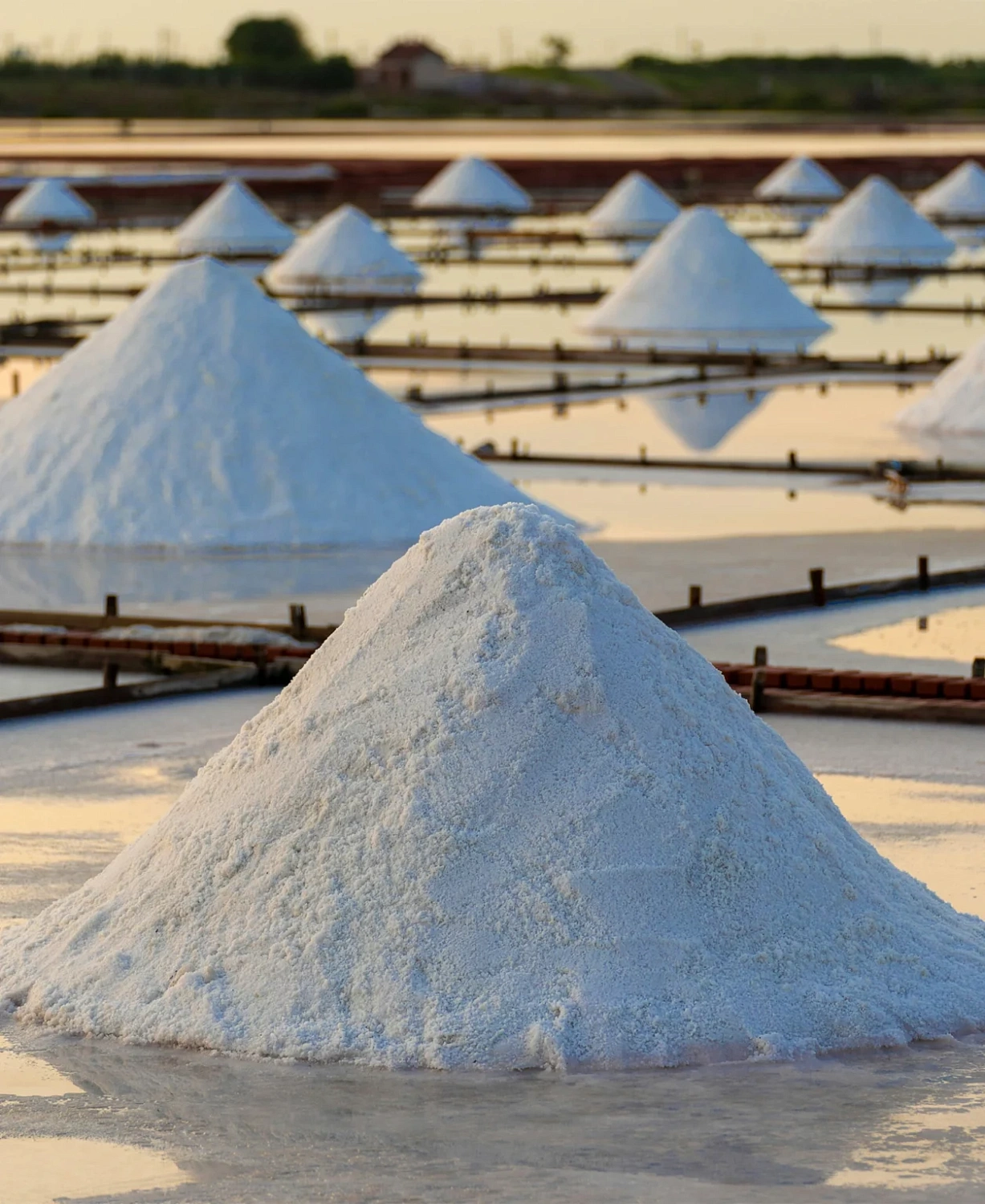 ЧИПСЫ СО СРЕДИЗЕМНОМОРСКОЙ СОЛЬЮ